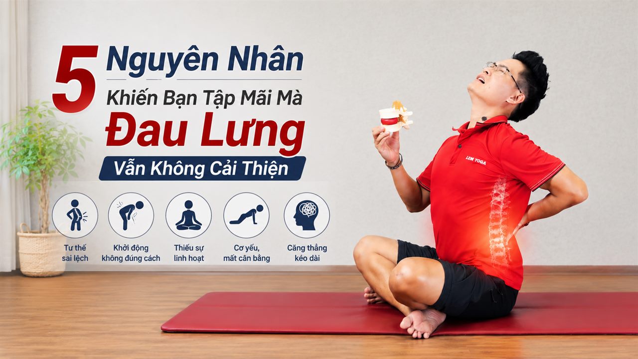 Đặng Kim Ba minh hoạ 5 nguyên nhân khiến tập mãi mà đau lưng vẫn không cải thiện: tư thế sai lệch, khởi động không đúng, thiếu linh hoạt, cơ yếu mất cân bằng, căng thẳng kéo dài