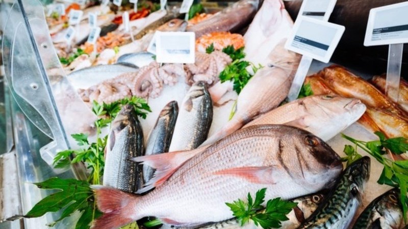 Cá béo cá hồi cá thu cá mòi giàu omega-3 EPA DHA hỗ trợ huyết áp