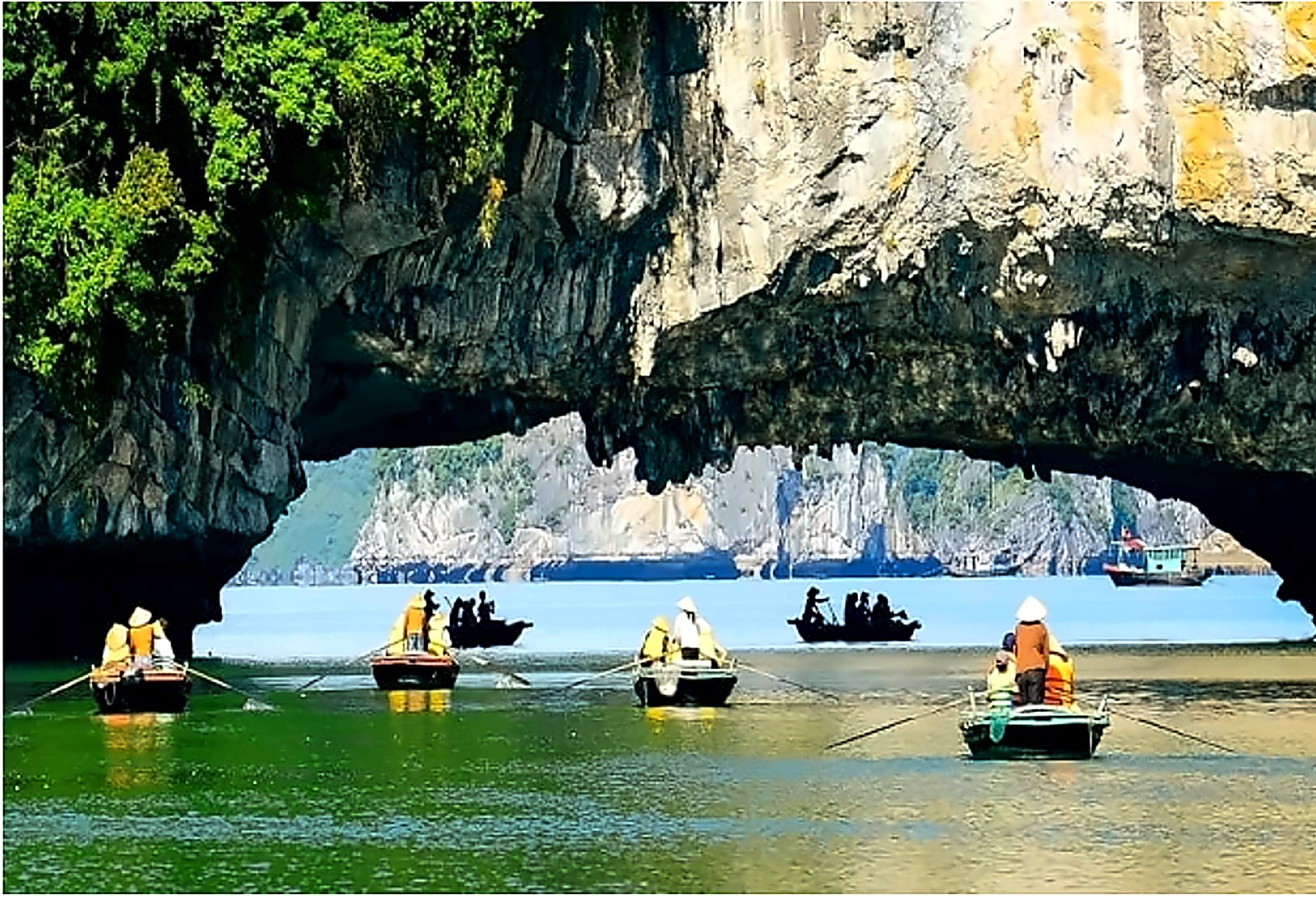 CHẠM 2026 — Lịch Trình 3 Ngày 2 Đêm Tại Hải Phòng Mừng 15 Năm T.Kim Yoga 41 Chèo kayak khám phá Hang Luồn Vịnh Lan Hạ - hành trình qua những dãy núi đá vôi