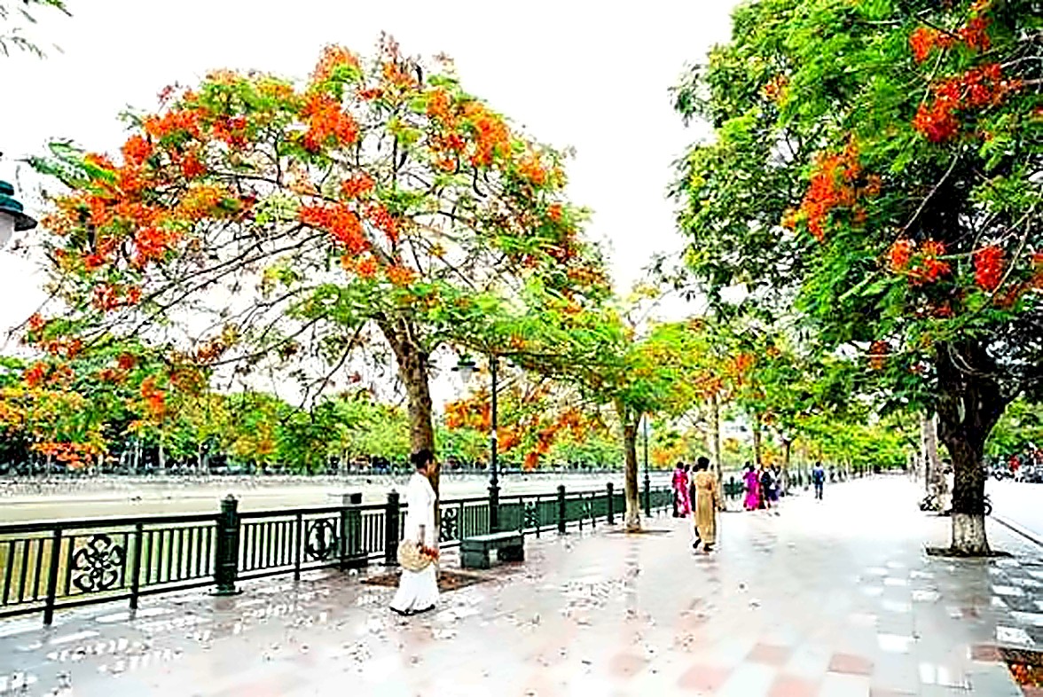 CHẠM 2026 — Lịch Trình 3 Ngày 2 Đêm Tại Hải Phòng Mừng 15 Năm T.Kim Yoga 19 Áo dài bên Hồ Tam Bạc dưới hàng phượng đỏ Hải Phòng vào mùa hè - tuyến phố ven hồ đẹp nhất thành phố
