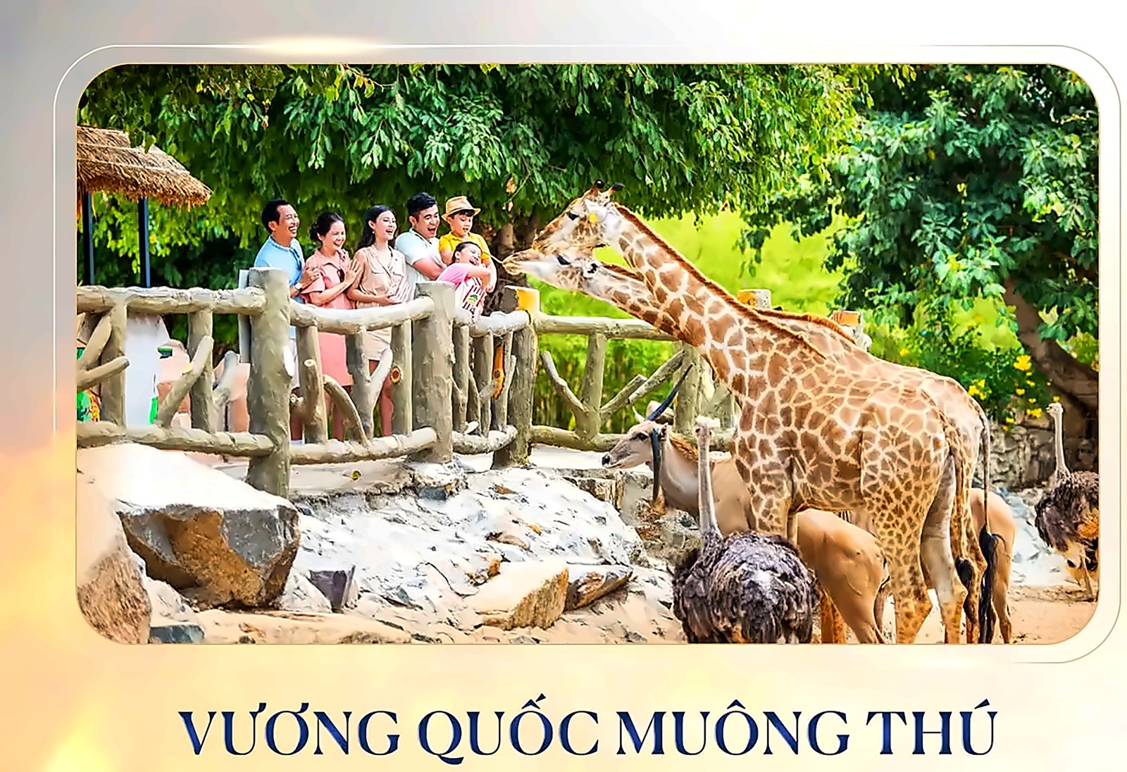 CHẠM 2026 — Lịch Trình 3 Ngày 2 Đêm Tại Hải Phòng Mừng 15 Năm T.Kim Yoga 23 Vương quốc muông thú VinWonders Vũ Yên - vườn thú rộng lớn với hươu cao cổ, đà điểu và các loài quý hiếm