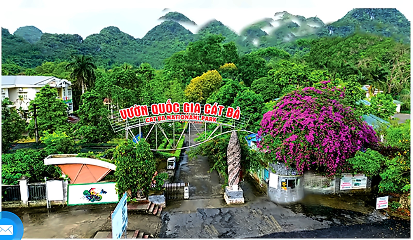 CHẠM 2026 — Lịch Trình 3 Ngày 2 Đêm Tại Hải Phòng Mừng 15 Năm T.Kim Yoga 34 Vườn Quốc gia Cát Bà - rừng nguyên sinh trên đảo với hệ sinh thái đa dạng