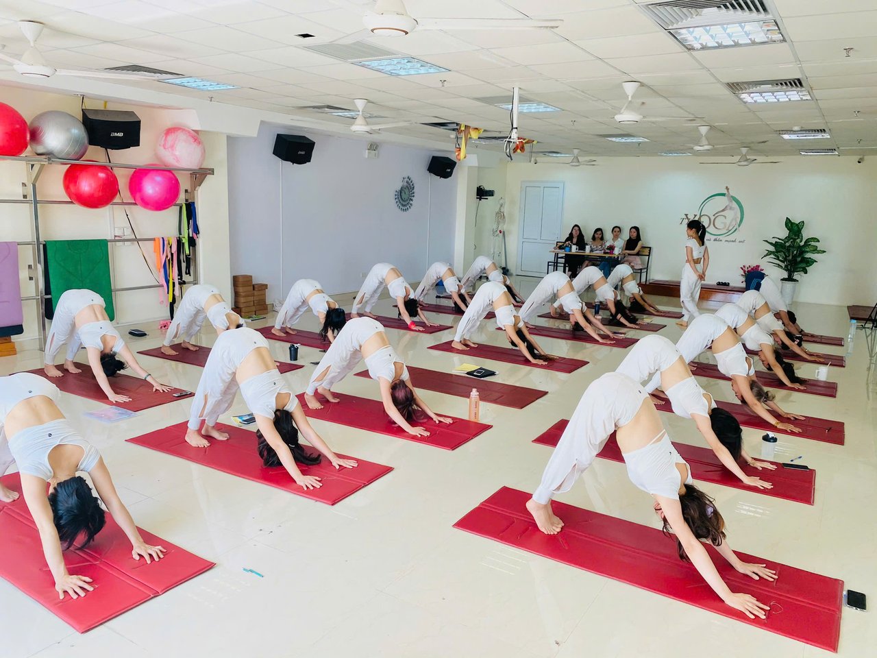 Giáo Viên Yoga Giỏi Vẫn Vắng Học Viên? 8 Tiêu Chí Thiết Kế Lớp Học Chuyên Nghiệp 9 Lớp đào tạo giáo viên Yoga bài bản tại Học viện Yoga T.Kim - học viên vừa học chuyên môn vừa học cách vận hành lớp
