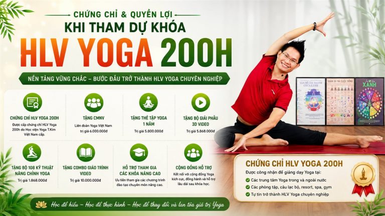 Khoá HLV Yoga 200H Sắp Khai Giảng — Học Phí, Quyền Lợi, Nội Dung Và Cơ Hội Nghề Nghiệp Tại Học Viện T.Kim Việt Nam