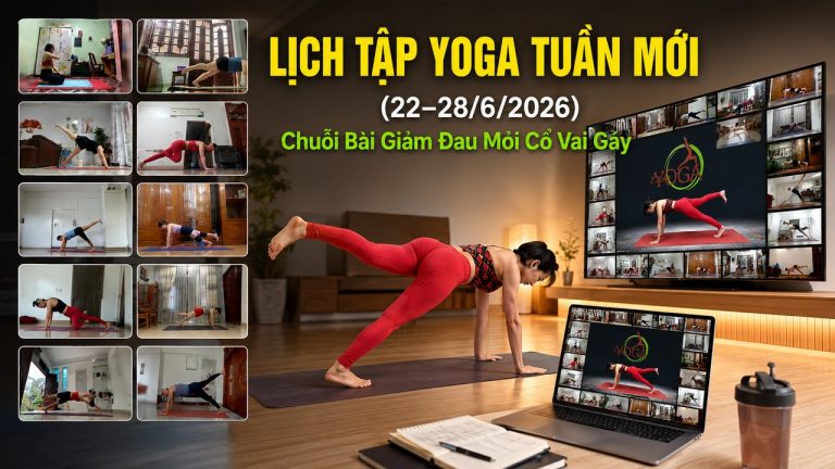 Lịch Tập Yoga Tuần Mới (22–28/6/2026): Chuỗi Bài Giảm Đau Mỏi Cổ Vai Gáy