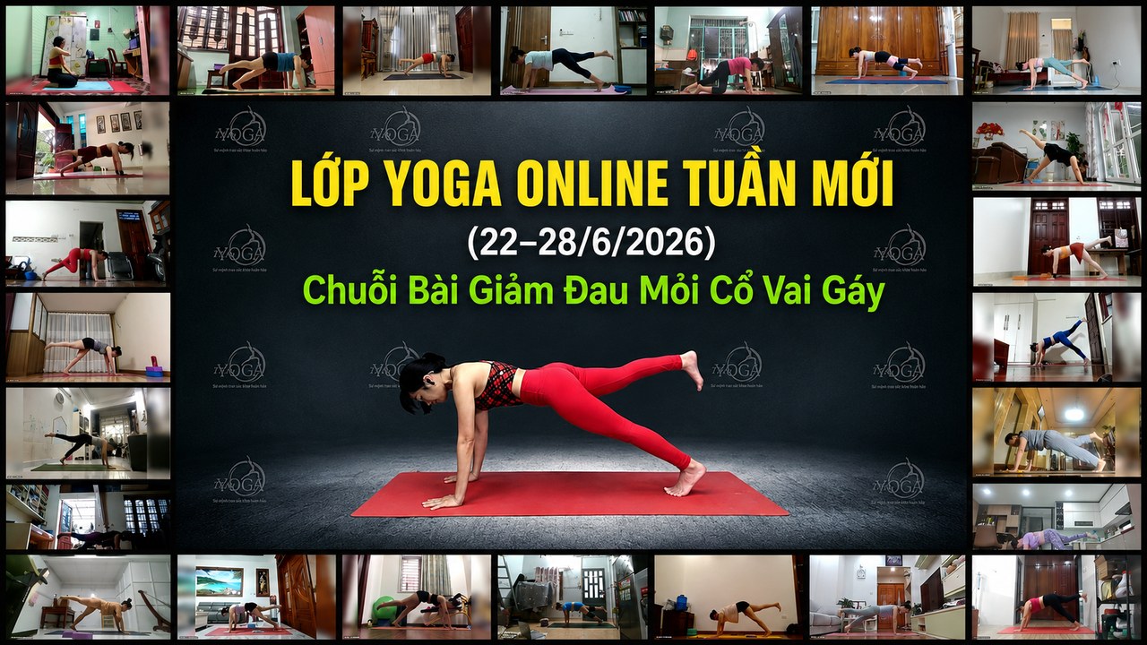 Lịch Tập Yoga Tuần Mới (22–28/6/2026): Chuỗi Bài Giảm Đau Mỏi Cổ Vai Gáy 10 Lớp Yoga online tuần mới tại Học viện Yoga T.Kim với nhiều học viên tập tại nhà qua Zoom, chủ đề giảm đau mỏi cổ vai gáy