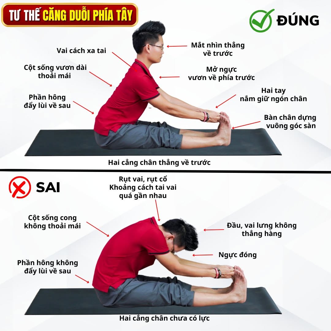 Poster kỹ thuật tư thế Căng Duỗi Phía Tây (Paschimottanasana) trong Yoga — minh hoạ định tuyến ĐÚNG và SAI với chú thích chi tiết tránh chèn ép đĩa đệm thắt lưng, do Chuyên gia Đặng Kim Ba thực hiện