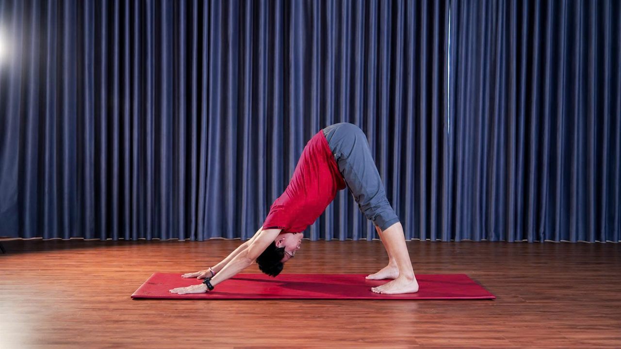 5 Tư Thế Yoga Đơn Giản Hỗ Trợ Thải Độc Gan Ngay Tại Nhà 9 Tư thế Yoga Chó Úp Mặt Adho Mukha Svanasana tăng tuần hoàn máu hỗ trợ gan thận