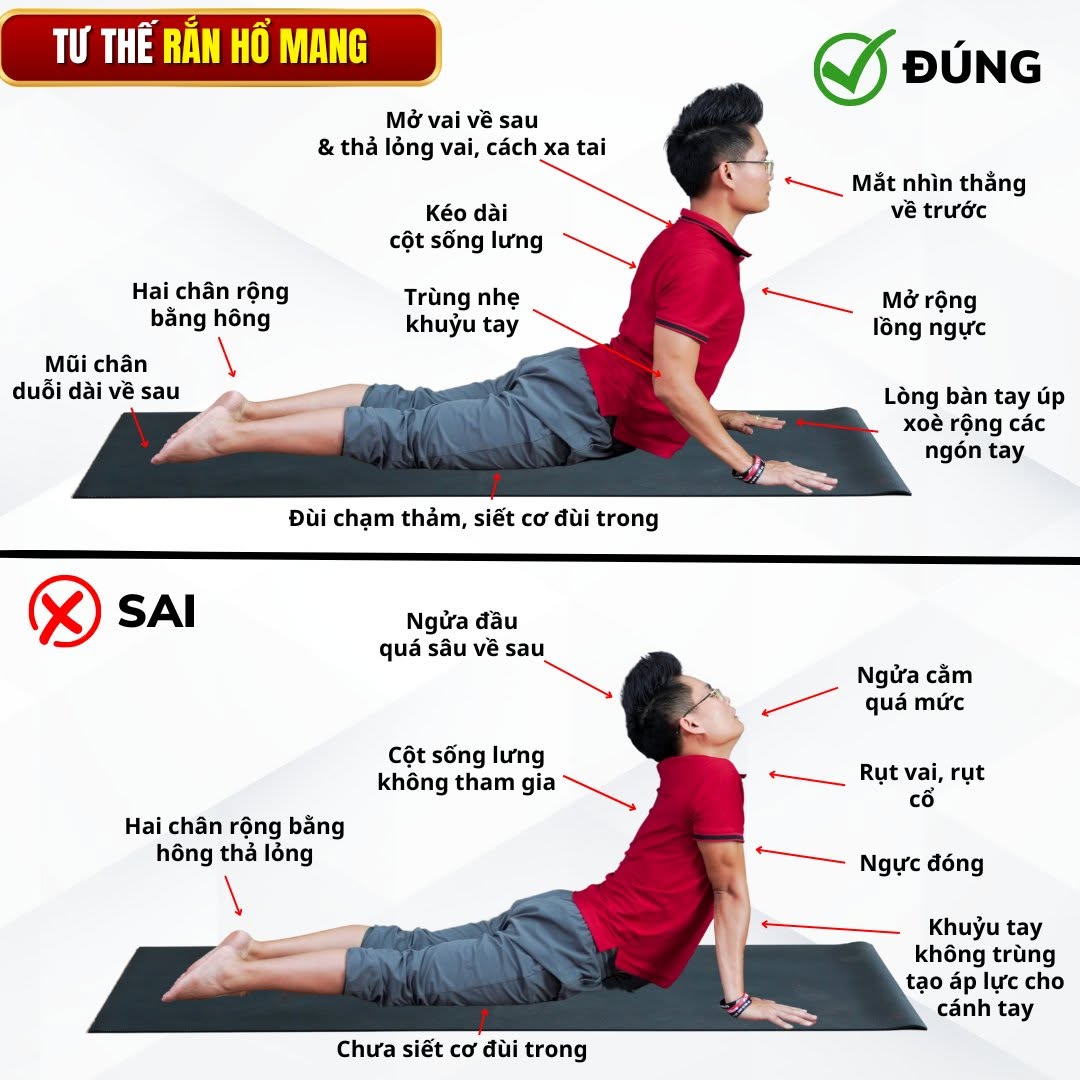 Poster kỹ thuật tư thế Rắn Hổ Mang (Bhujangasana) trong Yoga — minh hoạ định tuyến ĐÚNG và SAI với chú thích chi tiết từng điểm để tránh gây đau lưng cho người tập, do Chuyên gia Đặng Kim Ba thực hiện