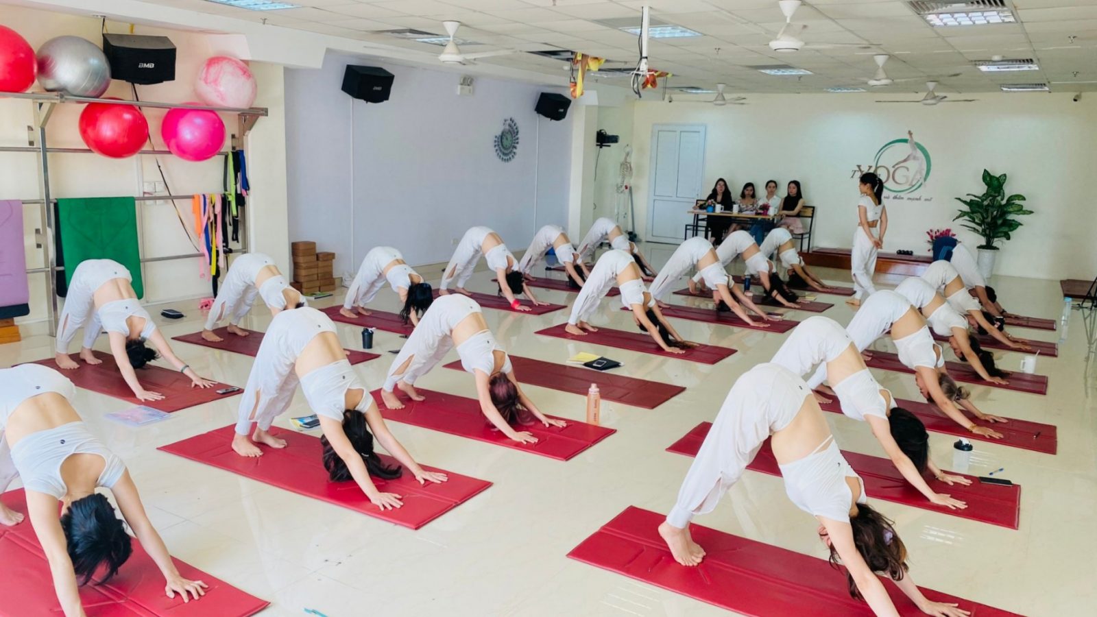 Học viên Học viện Yoga T.Kim tập tư thế Chó úp mặt trong buổi học yoga cải thiện giấc ngủ