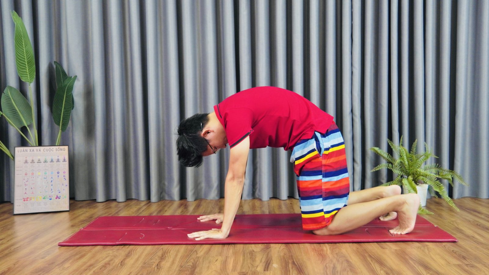 Vai trò của khởi động trước khi tập yoga 9 Khởi động trước khi tập Yoga - tư thế Mèo Bò làm mềm cột sống