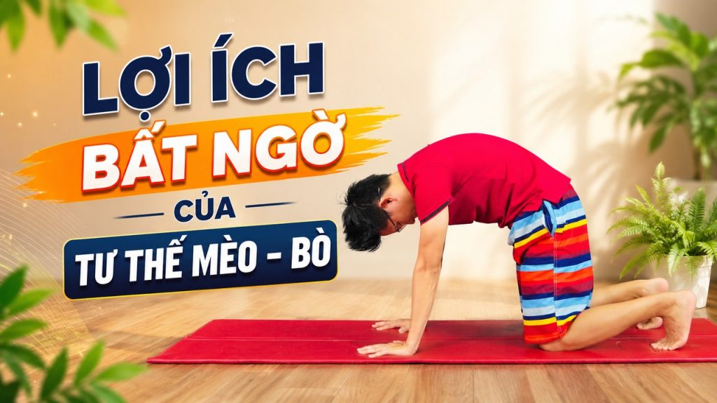 tu the meo bo yoga loi ich