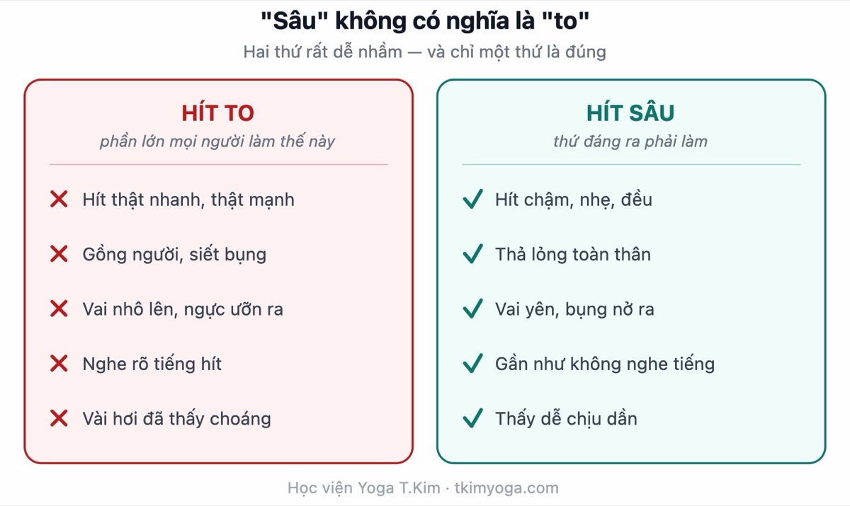Hít thở sâu đúng cách: "sâu" không có nghĩa là "to" 7 Bảng so sánh hít to và hít sâu: hít to là hít nhanh mạnh, gồng người, vai nhô lên, nghe rõ tiếng; hít sâu là hít chậm nhẹ đều, thả lỏng, vai yên, bụng nở ra